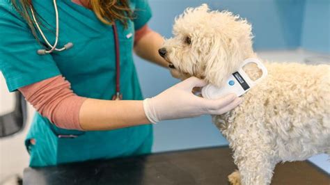 nfc pet microchip cost